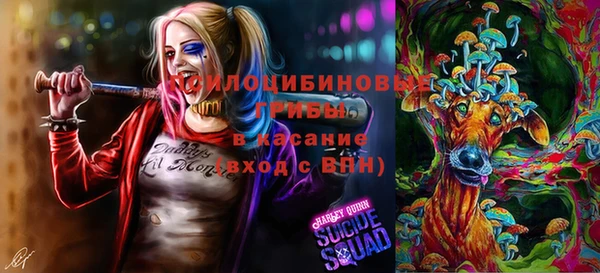 гидра Верея