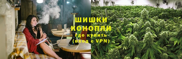 гидра Верея