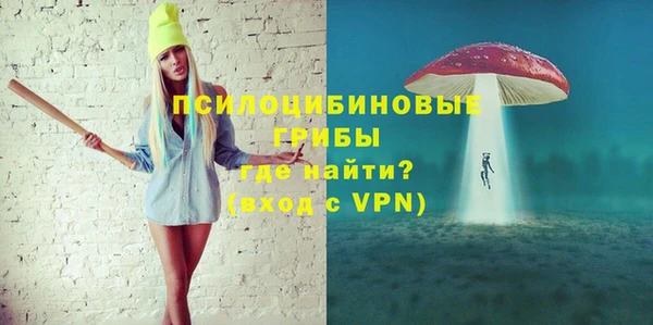 гидра Верея
