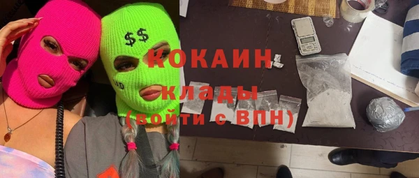 гидра Верея