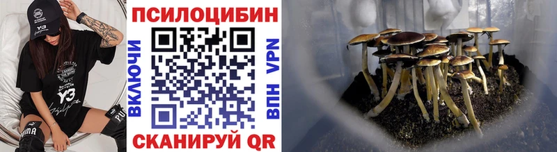 Купить где  Азов  Галлюциногенные грибы мухоморы 